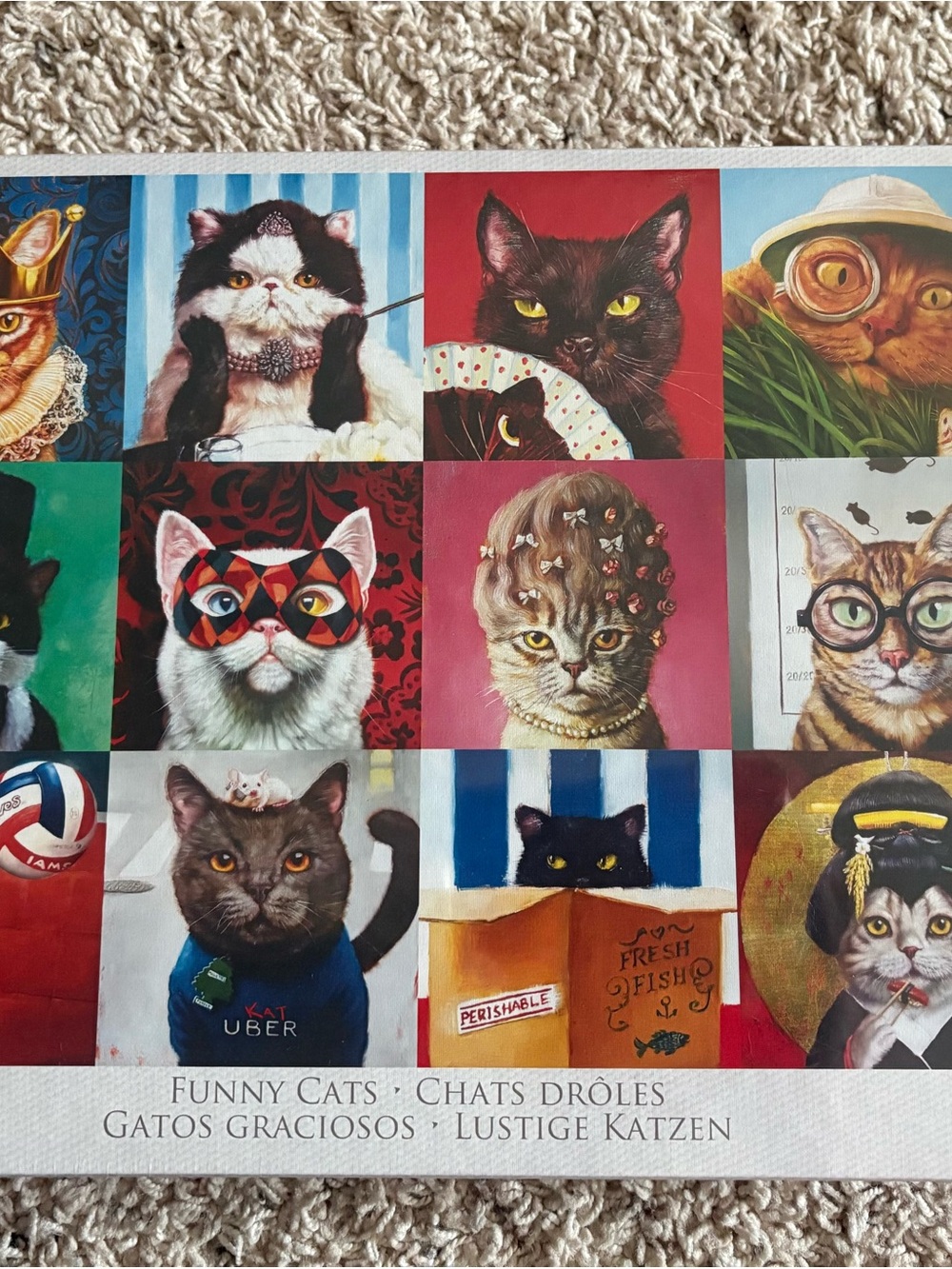 Funny Cats 1000 Piece Jigsaw Puzzle By Lucia Heffernan- New